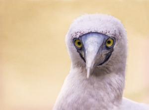 My photography in the Florida Keys is featured in an article